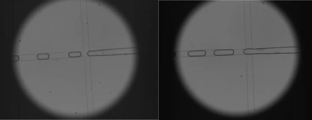 云顶集团(中国区)官方网站