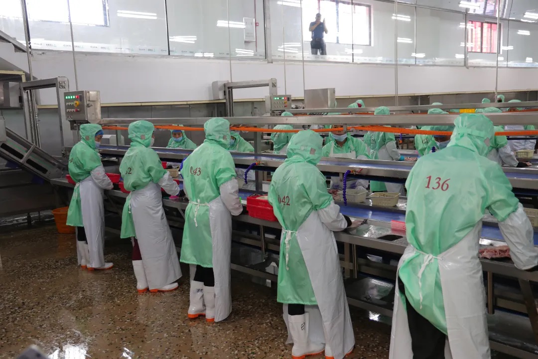 云顶集团(中国区)官方网站