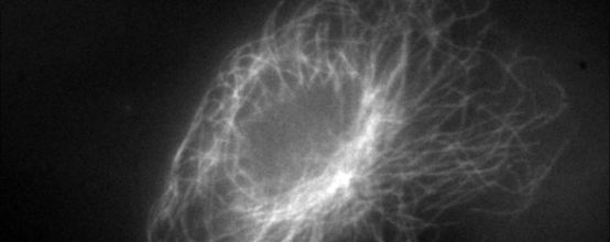 云顶集团(中国区)官方网站