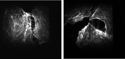 云顶集团(中国区)官方网站