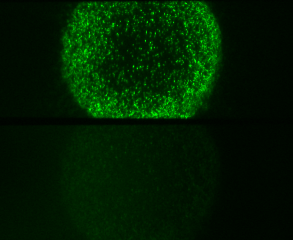 云顶集团(中国区)官方网站